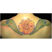 Gallery Image Number 7