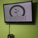 Seedling Marketing Group LLC - Internet Marketing & Advertising