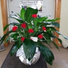 Ronees Flowers & Nursery gallery