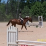 Blue Ridge Equestrian Farm