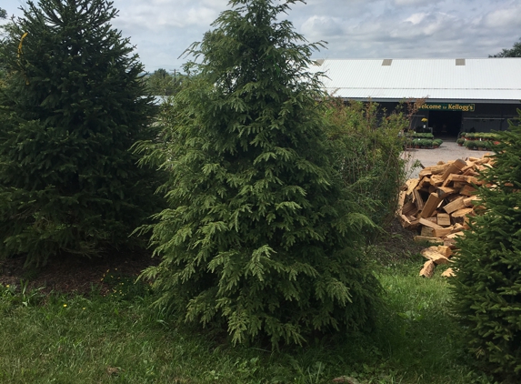 Paul Kellogg's Garden Center & Nursery Center - Hamlin, PA