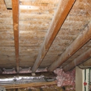 Mold Inspection & Testing Cincinnati OH - Mold Remediation