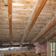 Mold Inspection & Testing Phoenix AZ