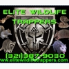 Elite Wildlife Trappers gallery