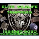 Elite Wildlife Trappers - Animal Removal Services