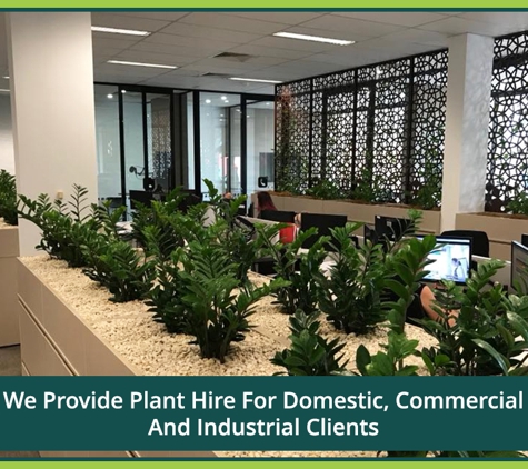 Jindalee Indoor Plant Service - Edgeworth, NSW. We Provide Plant Hire For Domestic, Commercial And Industrial Clients