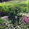 Andrew Zema's Landscaping gallery