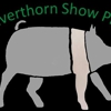 Silverthorn Show Pigs gallery