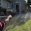 Sprinkler Repair Guy - Sprinklers-Garden & Lawn, Installation & Service