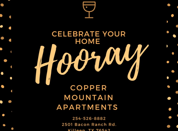 Copper Mountain Apartments - Killeen, TX