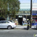 Cole Valley Pets - Pet Services