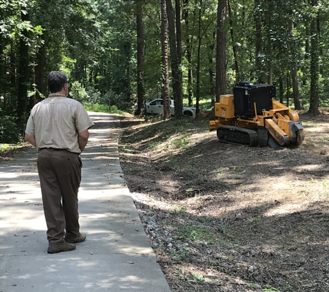 Economy Stump Removal - Gardendale, AL. Remote control