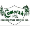 Cumorah Tree Service gallery