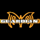 Guardian Owl - Business Coaches & Consultants
