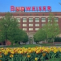 Anheuser-Busch Brewery Tour