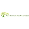 Rappahannock Tree Preservation gallery