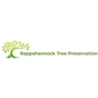 Rappahannock Tree Preservation