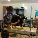 Animal Camp Pet Boarding & Grooming - Pet Boarding & Kennels