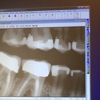 NorthStDental gallery