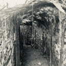 The Field of Fright Haunted Corn Maze