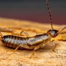 Bug Control Pros - Pest Control Equipment & Supplies