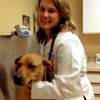 Animal Hospital at Thorndale gallery