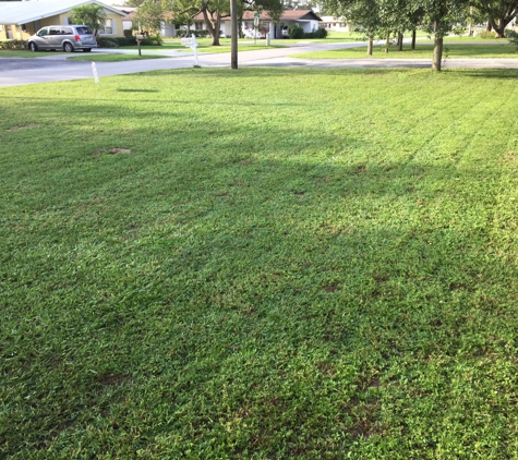 Lawn care - Avon Park, FL