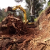 Decoite Tree Service gallery