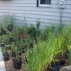 Gardening Adventures-From the Ground Up Nursery gallery