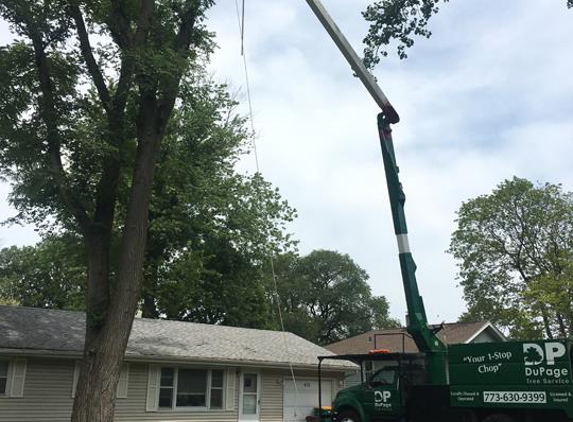 Dupage Tree Services - Elmhurst, IL