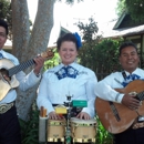 Mariachi-Trio Los Azulado - Musicians