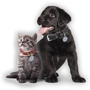 Pet Protector Independent Distributor