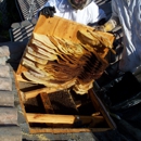Affordable Bee Removal Service - Pest Control Equipment & Supplies
