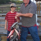 Little River Fishing Fleet