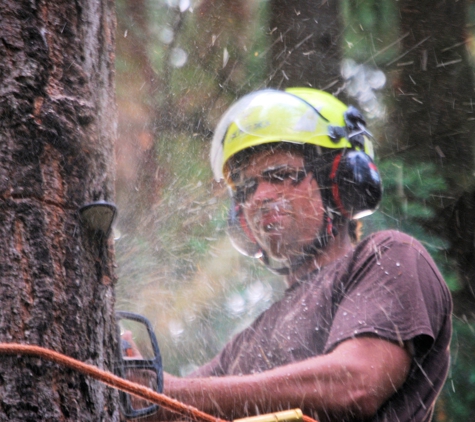 Bigfoot Tree Service - gig harbor, WA