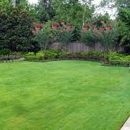 Greencut - Landscaping & Lawn Services