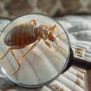 Mrs Bzzz Pest & Termite Solutions - Pest Control Equipment & Supplies