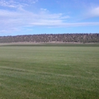 Lower Valley Turf