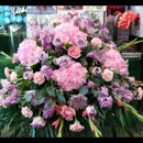 Schneider's Flowers, LLC - Florists