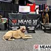 Sit Means Sit Dog Training Cibolo gallery
