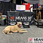 Sit Means Sit Dog Training Cibolo