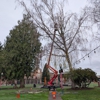 Salish Sea Tree Care & Consulting gallery
