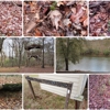 Chattahoochee Bend State Park gallery