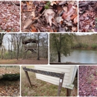 Chattahoochee Bend State Park