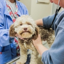 Bay Ridge Animal Hospital - Veterinarians