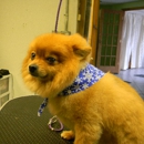 Hair & The Hound - Pet Grooming