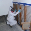 PuroClean Mitigation & Restoration Services gallery