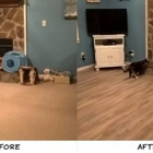 Oregon Custom Flooring