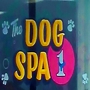 The Dog Spa