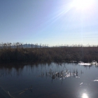 The Great Salt Lake Shorelands Preserve